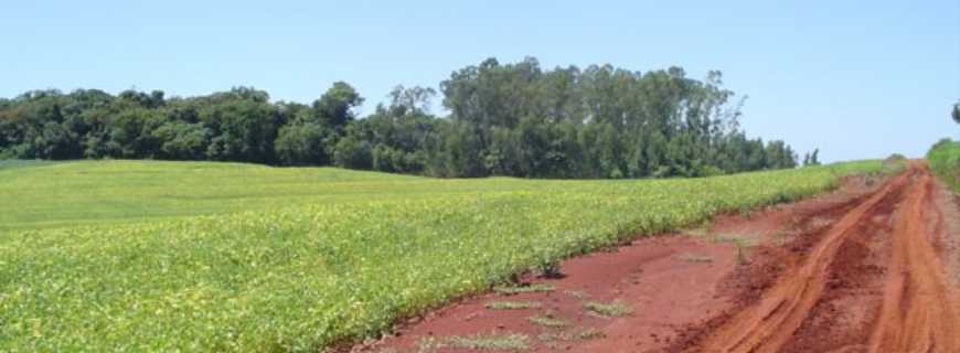 Aurora do Iguau-PR