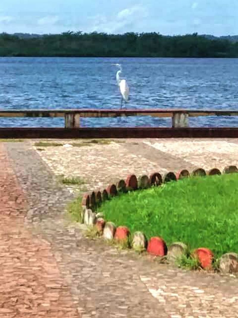 IMAGENS DA CIDADE DE TAPERO - BA - TAPERO - BA