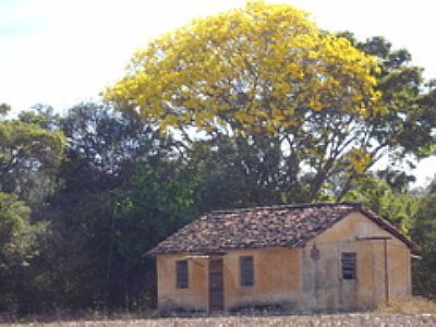 IPÊ/CASA ÁREA RURAL-FOTO:TULLIO PÁDUA - IJACI - MG