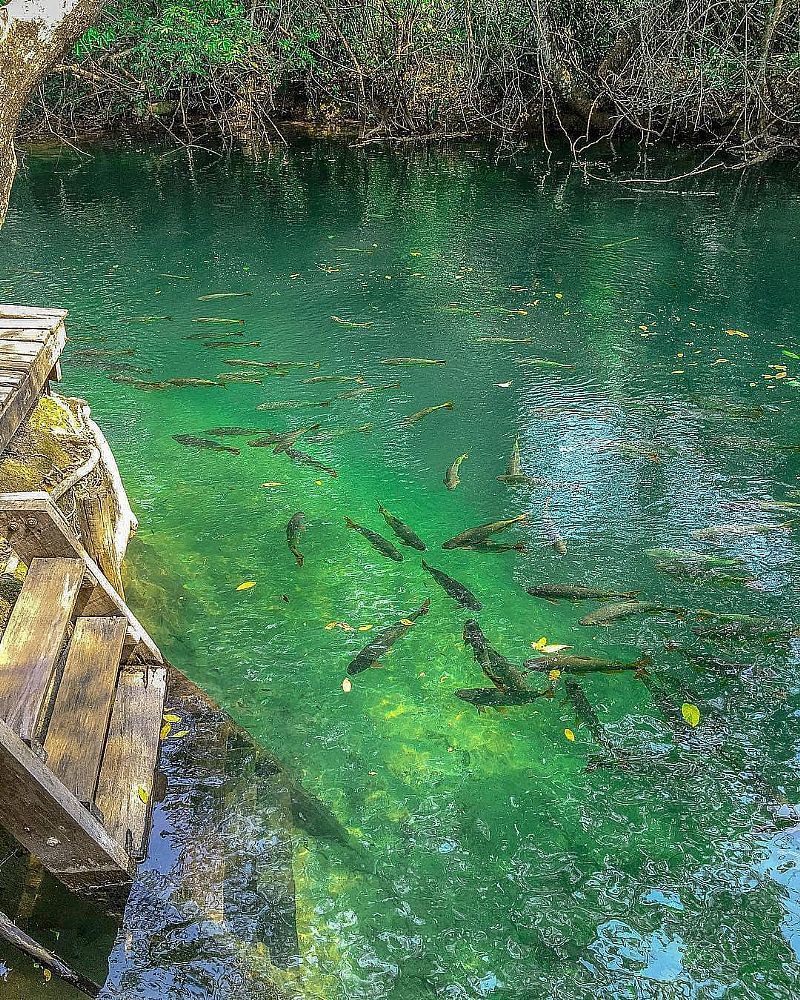 IMAGENS DA CIDADE DE BONITO - MS - BONITO - MS