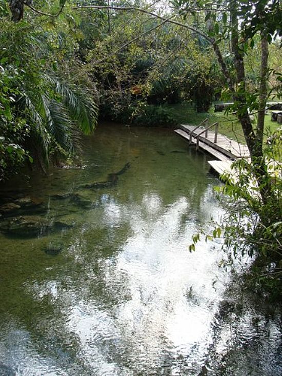 BALNERIO DO GORDO NO RIO FORMOSO EM BONITO-MS-FOTO:PAULO YUJI TAKARADA5 - BONITO - MS