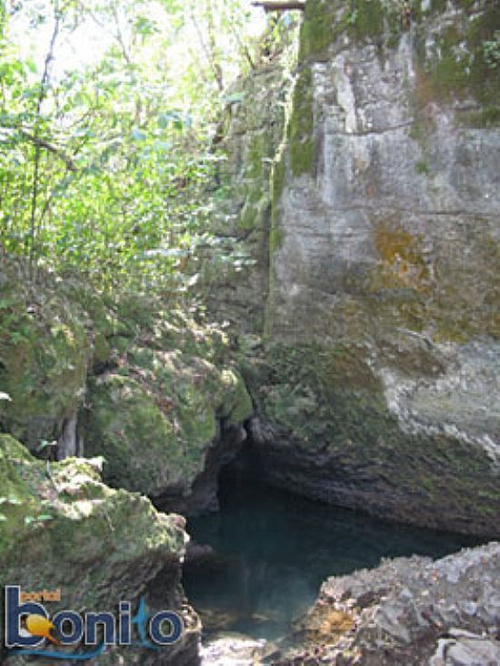 BONITO-MS-RESSURGNCIA DO RIO PERDIDO NA SERRA DA BODOQUENA-FOTO:PORTALBONITO. - BONITO - MS