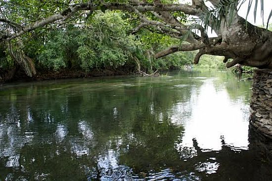 RIO SUCURI EM BONITO-MS-FOTO:PAULO YUJI TAKARADA - BONITO - MS