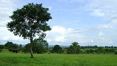 STIO-FOTO:THIAGO MANIERO  - FIGUEIRPOLIS D'OESTE - MT