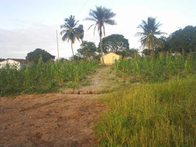 SITIO BARRO VERMELHO, POR GERALDO JOAQUIM DE ARAUJO - MULUNGU - PB