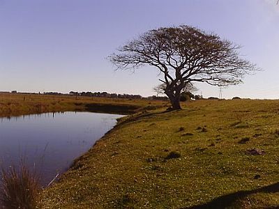 PAISAGEM-FOTO:MRCIO ROGRIO PEREI - QUINTA - RS