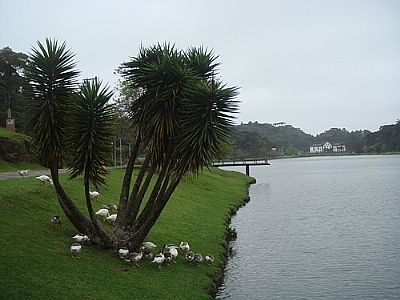 LAGO-FOTO:QUINTA DA LUZ - SO FRANCISCO DE PAULA - RS