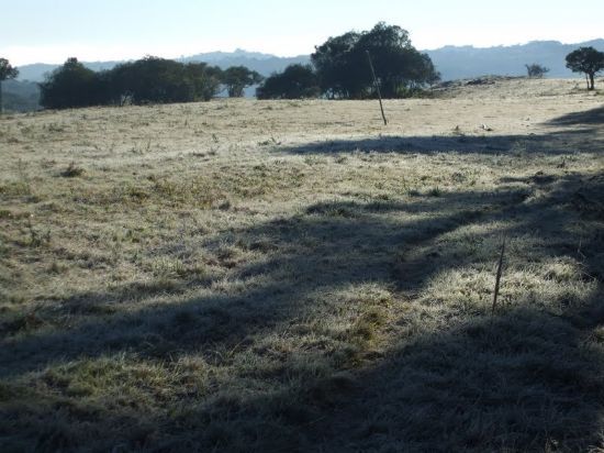 ABAIXO DE 0 GRAUS-FOTO:HALISON REIS - CAPO ALTO - SC