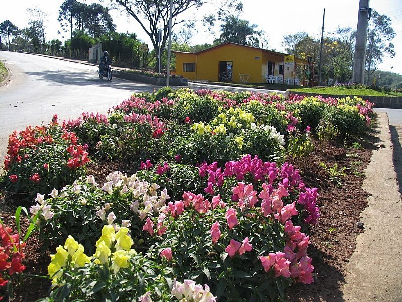 IMAGENS DA CIDADE DE CAPINZAL - SC - CAPINZAL - SC