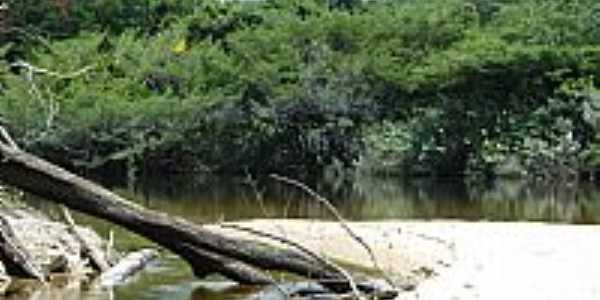 Mata e o Rio Xixua em Reserva Xixua-Xiparin-AM-Foto:Mette Irene Andersen