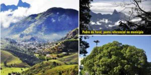 a cidade com pedra do farol ao fundo e rvore histrica no centro - - foto alberto rodolfo - visaobrasilvip.com.br cartes postais, Por Alberto Rodolfo