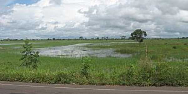 Arar-MA-Campos alagados  beira da Rodovia-Foto:jorgeluisfernandes