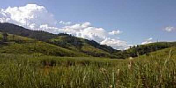 Vegetao e montanhas na regio de Tapira-MG-Foto:valdicarvalho