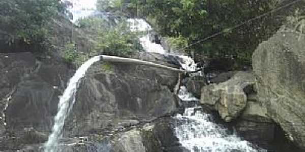 Jaqueira-PE-Cachoeira em stio-Foto:Camaleo das Folhagens