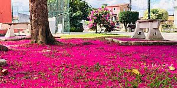 Imagem da cidade de Dom Macedo Costa - BA