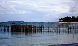 Gamboa - Sistema de pesca em Gamboa-BA-Foto:Renovatiotur Nutica