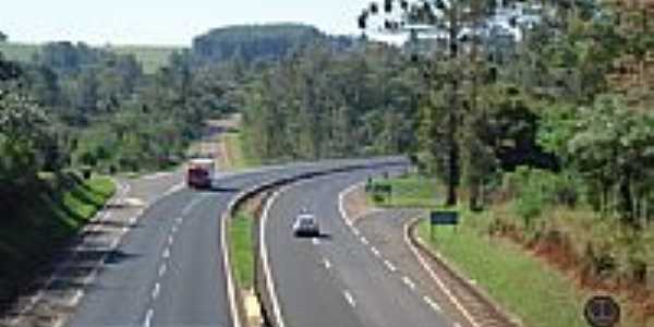 Viaduto do Caramuru-Foto:jos carlos farina