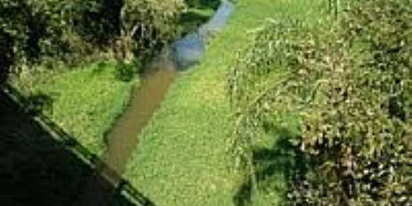 Rio Tigre em Cintra Pimentel-Foto:tripmondo.