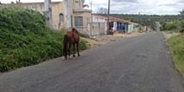 Pousadas em Igará, Hotéis em Igará - BA - Restaurantes Imobiliárias