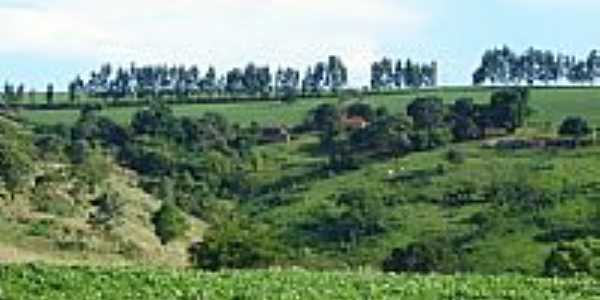 Vista  da Fazenda Josana em Santo Antnio do Palmital-Foto:pellegrini32