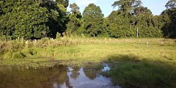 Tuparendi-RS-Lago no interior da cidade-Foto:Elton Wisch