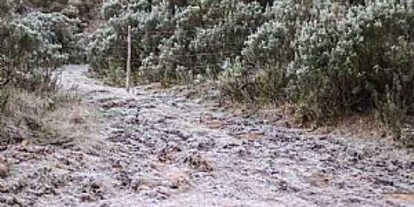 Imagem de queda de neve em 2022, na cidade de Urupema/SC - por Evilin Cristini