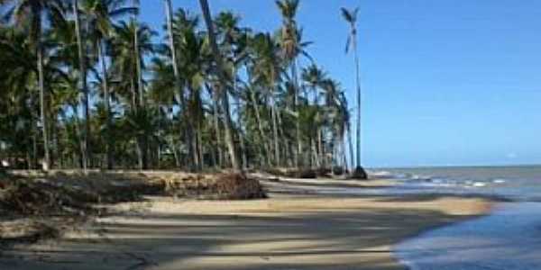 Praia de Barra Velha, Por Antonio Fernando de Vasconcelos Pereira