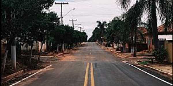 Cambaratiba-SP-Rua Adhemar de Barros-Foto:Zekinha