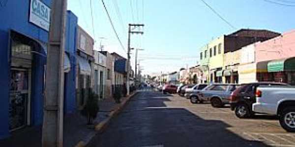 Iep-SP-Rua da cidade-Foto:Sergio Murback