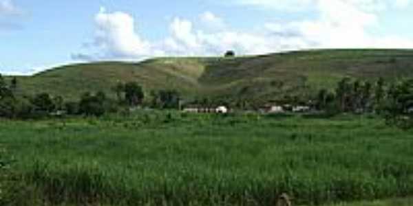 Jundi-AL-Fazenda Santo Antnio-Foto:Ademar Demas