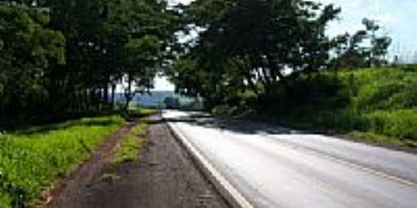 Rodovia em Santa Cruz da Esperana-Foto:Semeo. 