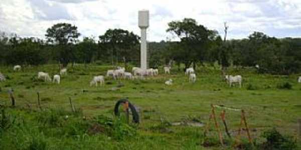 Crixs do Tocantins-TO-Fazenda de gado-Foto:www.mfrural.com.br 