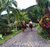 Tomazina/PR - Pousada - Hotel Pousada Fazenda Carro de Boi